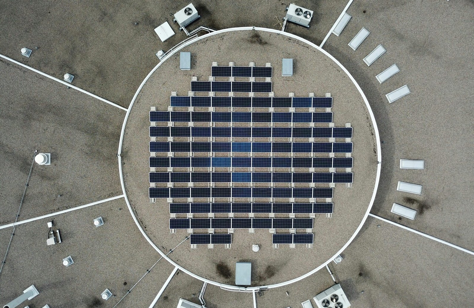 pexels giantasparagus 35425754 copy